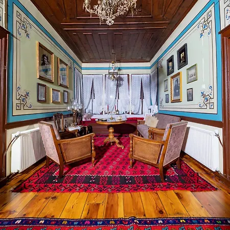 ゲストハウス αρχοντικό αθηνά - Athina Mansion *